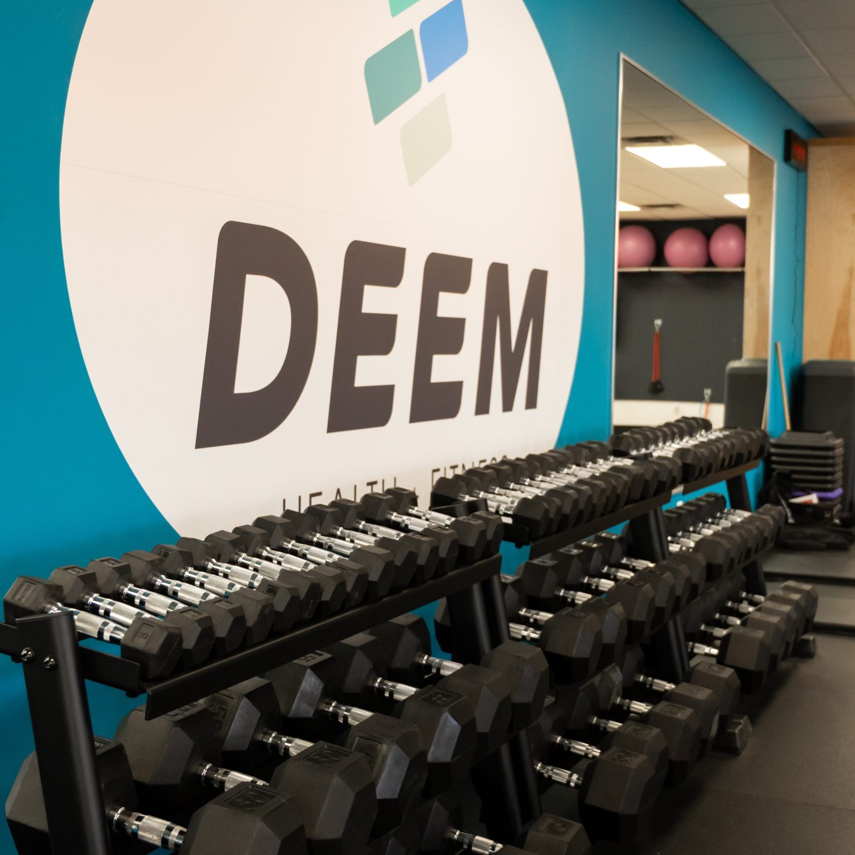 Weight rack at DEEM Health + Fitness.